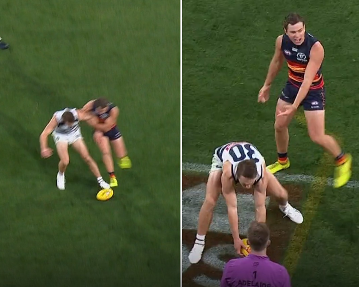Adelaide v Geelong: A Case&nbsp;Study